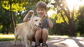 Atencin plena con patas: estos son los beneficios de las terapias asistidas con perros en nios y adolescentes con TDAH