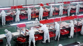 Foto de Anafric impulsa la Formacin Profesional Dual en el sector crnico