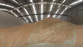 Foto de La deteccin de insectos en los productos almacenados: perspectiva actual y futura sobre el diagnstico molecular