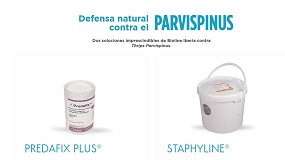 Foto de Bioline Iberia lanza una web para combatir el Thrips parvispinus