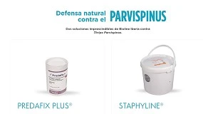 Foto de Bioline Iberia lanza una web para combatir el Thrips parvispinus