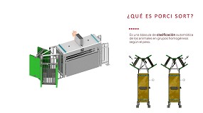 Foto de Porci Sort: sorting en porcino ibrico