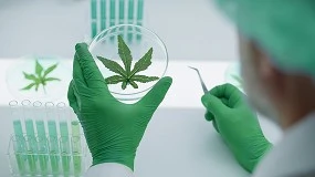 Picture of Nuevo marco regulatorio del cannabis medicinal