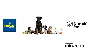 Foto de La Fundacin RACE pide una regulacin sobre cmo llevar a las mascotas en el interior de los vehculos