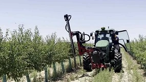 Foto de La Poda Aragonesa, una solución ante condiciones exigentes en el cultivo del almendro
