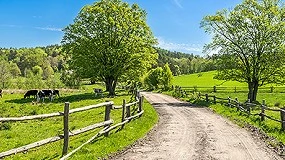 Foto de CE avana crescimento de 1,5% no mercado agrcola em 2026