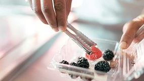 Foto de El nuevo proyecto Greco desarrollará bioplásticos más ecológicos y seguros para envases alimentarios