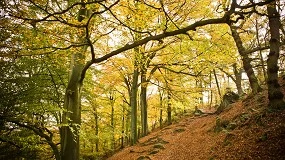 Foto de Brother apresenta novo Plano Ambiental