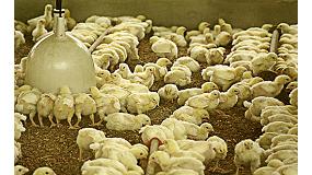 Foto de COAG pedir al MARM una lnea oficial de crditos blandos para adaptar las granjas de aves y cerdos