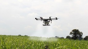 Foto de Aragn recuerda la prohibicin de aplicar fitosanitarios con dron sin autorizacin previa