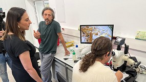 Foto de El Imida trabaja en el control biolgico de un nuevo trips extico que afecta al pimiento