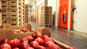 Foto de La cosecha de fruta de pepita cae un 6%, aunque la produccin de manzana crece un 3,3%