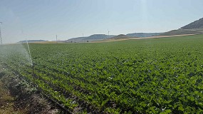 Foto de El precio medio de la tierra de uso agrario creci un 2,8% el ao pasado