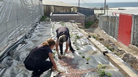 Ms del 70% de los agricultores dispone de plantas auxiliares en el interior de sus invernaderos