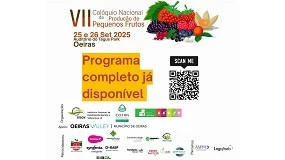 Foto de VII Colquio Nacional destaca inovao e desafios na produo de pequenos frutos