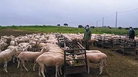 Foto de Impactos, estrategias y aprendizajes en el sector ovino-caprino español ante la COVID-19 y la guerra de Ucrania
