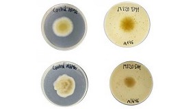 Foto de Envases fabricados con residuos de arroz para alargar la vida �til de los alimentos c�rnicos
