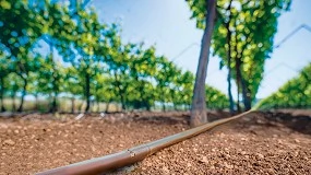 Foto de Cu Protect: tecnología de riego que protege el gotero de las raíces y potencia la producción en la viña