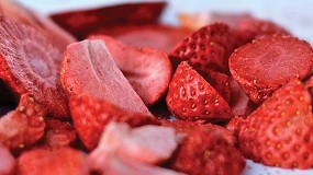 Foto de Liofilizacin con ayuda de la tecnologa de vaco