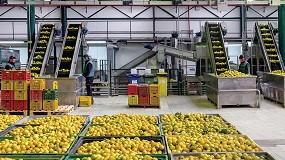 Foto de Esencias y aceites esenciales de alta calidad gracias a la destilacin por vaco