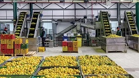 Foto de Esencias y aceites esenciales de alta calidad gracias a la destilación por vacío
