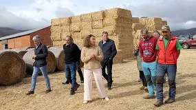 Foto de Ganaderos de Castilla y León afectados por incendios reciben 3,85 millones de kilos de alimentos