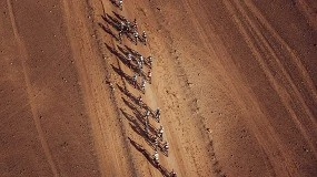 Foto de La Škoda Titan Desert Morocco 2026 abre inscripciones con un recorrido que combina Atlas y desierto