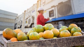 Foto de DSV presenta en Fruit Attraction 2025 una propuesta logstica para las necesidades de la industria hortofrutcola