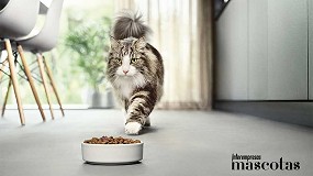 Foto de Nestl Purina lanza al mercado Pro Plan LiveClear, el primer y nico alimento que reduce los alrgenos en el pelo de los felinos