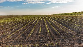 Foto de Congreso Gestin Sostenible del Suelo 2025 (8 de octubre): Bioestimulantes y tecnologa, una combinacin revolucionaria
