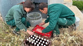 Foto de El CITA impulsa cuatro proyectos estratgicos en la convocatoria 2024 de Generacin de Conocimiento, dos de ellos centrados en retos clave para la industria crnica