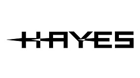 Hayes busca un contable para su sede alemana