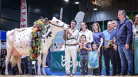 Foto de Venturo Happen Rosani, de Casa Venturo, vence en el Concurso Nacional de Raza Frisona 2025