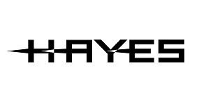 Foto de Hayes busca un contable para su sede alemana