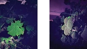 Foto de Hubel Verde apresenta tecnologia Martignani em demonstra��o t�cnica