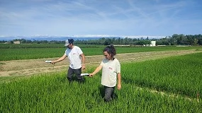 Foto de ¿Puede la agricultura de precisión y la teledetección mejorar la fertilización nitrogenada del arroz?