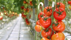 La Comisin Europea extiende al Sahara las ventajas del Acuerdo de Asociacin marroqu