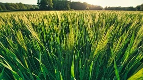 Foto de Fertilizantes: motor estratégico para el futuro del campo europeo