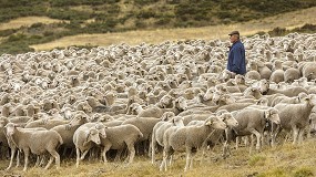 Foto de Modelo pionero para la convivencia entre ganadera extensiva y energa solar