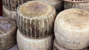 Foto de El precio de la leche de oveja en Castilla-La Mancha sigue en picado y ya casi se iguala a Castilla y Len