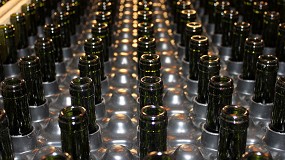 Espaa produjo un 5,6% ms de vino en agosto y sus existencias bajaron un 2,1%