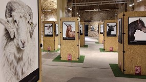 Foto de El Roadshow Bestiarium de Interovic llega a San Lorenzo de El Escorial (Madrid)