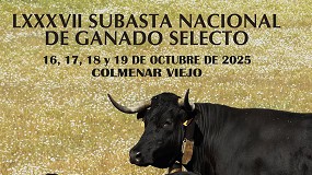 Unos 150 ejemplares de razas de vacuno de carne participan en la Subasta de Colmenar Viejo