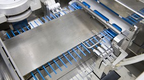 Castilla y Len destina 100.000 euros a Ovign para la mejora gentica y Ovinnova 2025