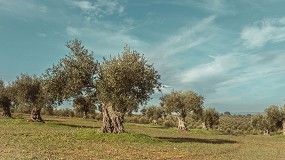 Foto de Los lagares portugueses: una imposici�n del campo a la agroindustria