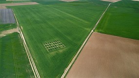 Foto de Evaluacin de estrategias de agricultura de precisin para la optimizacin de la fertilizacin nitrogenada en cereales de invierno