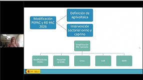 Foto de Novedades en la PAC para el sector ovino y caprino