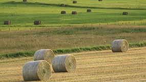 Foto de Ampliacin de 15 millones de euros para apoyar a la innovacin en el sector agroalimentario