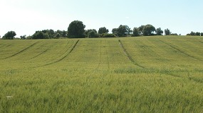 Foto de El sector agrario espaol recibir ms de 2.500 millones en anticipos de la PAC