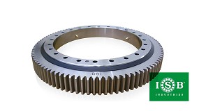 Foto de ISB Ibrica, ingeniera de precisin para movimientos industriales de alta exigencia